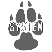 system